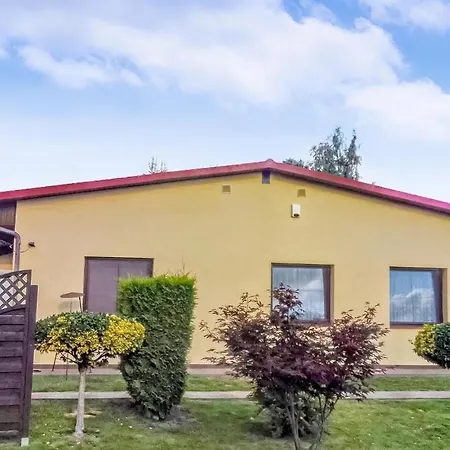 In With Wifi كوبالينو