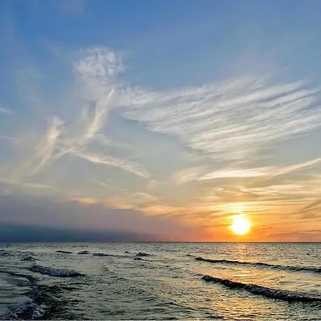 In With Wifi * كوبالينو