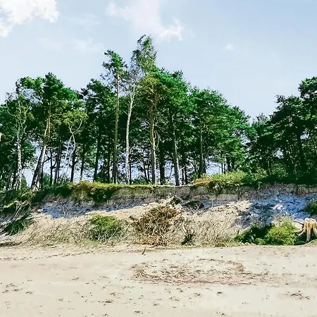 In With Wifi * كوبالينو