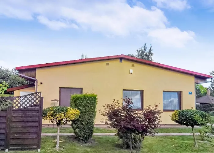 In With Wifi Kopalino