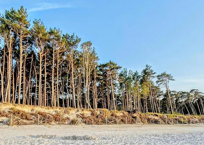 Lägenhet In With Wifi Kopalino