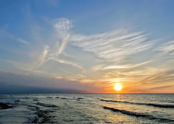 In With Wifi * Kopalino