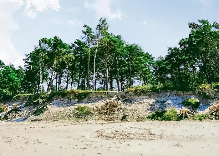 In With Wifi * Kopalino